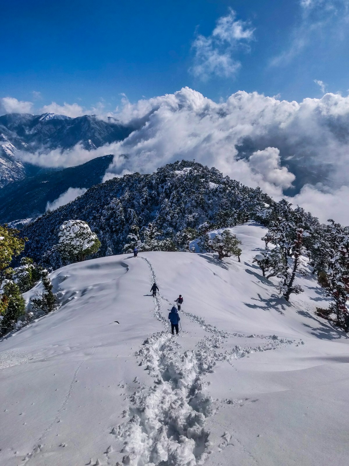 Sach Pass